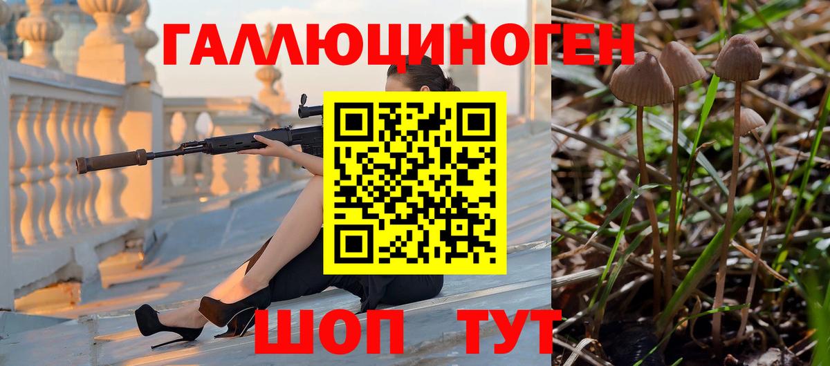 Псилоцибиновые грибы ЛСД Жуковский