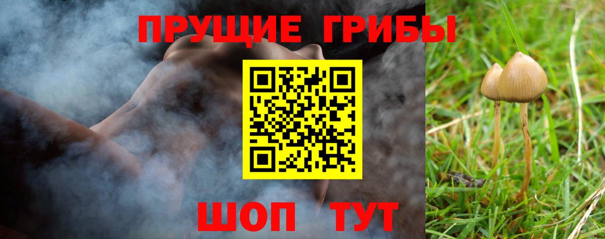 Псилоцибиновые грибы Psilocybine cubensis  Вход с VPN  Галлюциногенные грибы Psilocybine cubensis  Жуковский 